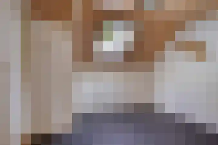 Drogesestraat 1 Sint Agatha thumbnail 31