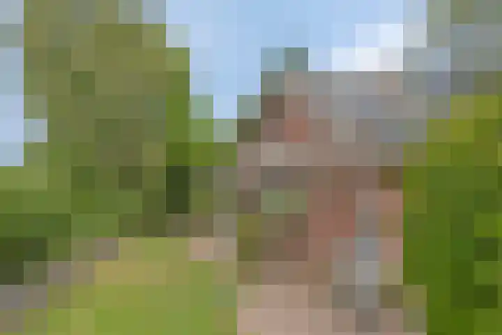 Drogesestraat 1 Sint Agatha thumbnail 48