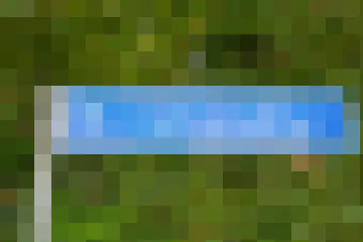 Drogesestraat 1 Sint Agatha thumbnail 5