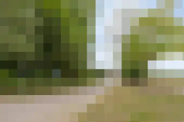 Drogesestraat 1 Sint Agatha thumbnail 6