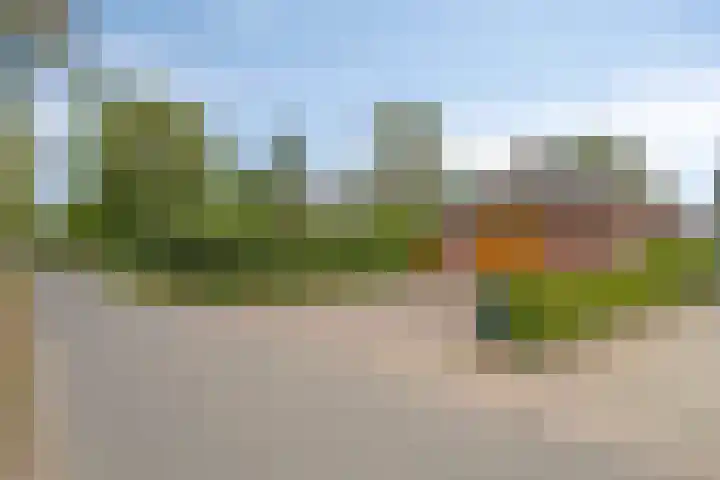Drogesestraat 1 Sint Agatha thumbnail 7
