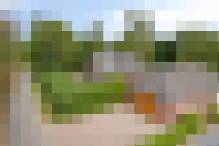 Drogesestraat 1 Sint Agatha thumbnail 9