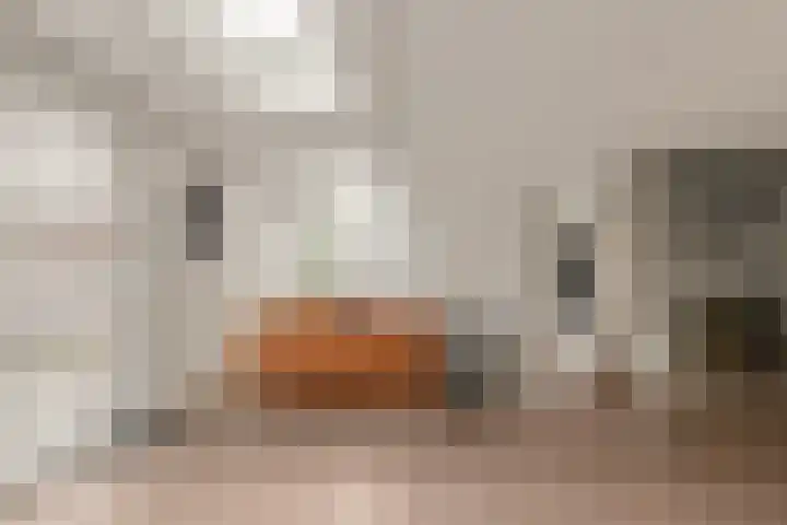 Drogesloot 8 Broek op Langedijk thumbnail 12