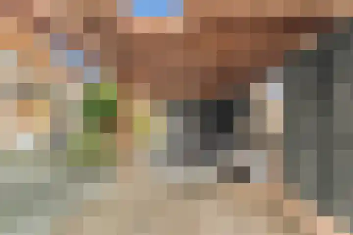 Drogesloot 8 Broek op Langedijk thumbnail 44