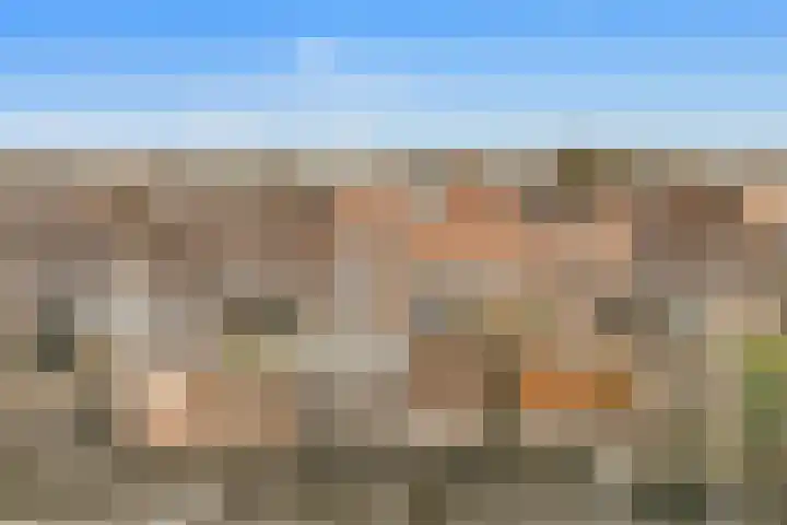 Drogesloot 8 Broek op Langedijk thumbnail 45