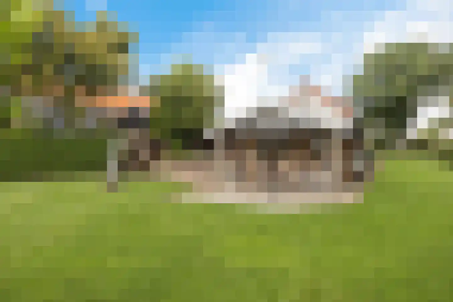 Drogteropslagen 52 Drogteropslagen thumbnail 38