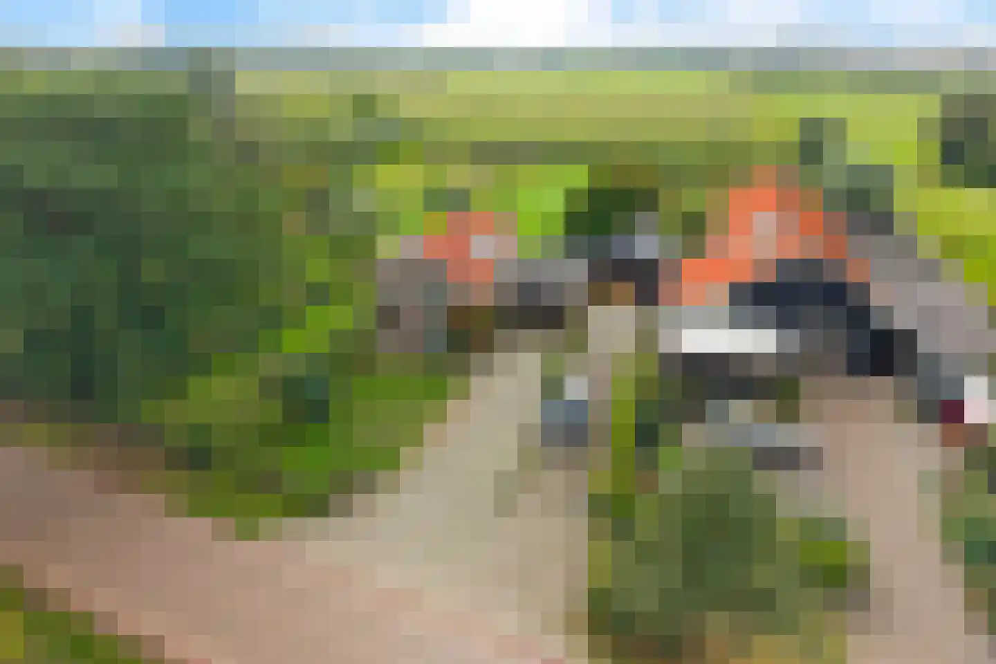 Drogteropslagen 52 Drogteropslagen thumbnail 43