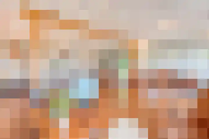 Drogteropslagen 56 Drogteropslagen thumbnail 17