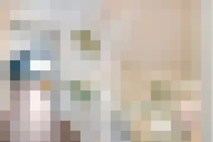 Drogteropslagen 56 Drogteropslagen thumbnail 34