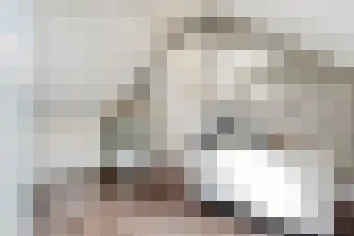 Drogteropslagen 56 Drogteropslagen thumbnail 38