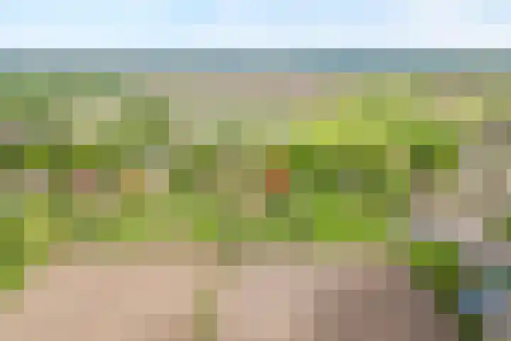 Drogteropslagen 56 Drogteropslagen thumbnail 4