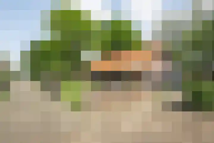 Drogteropslagen 56 Drogteropslagen thumbnail 43
