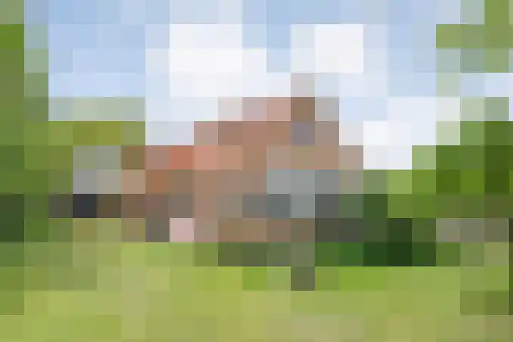 Drogteropslagen 56 Drogteropslagen thumbnail 45