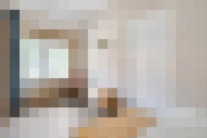 Drogteropslagen 56 Drogteropslagen thumbnail 61