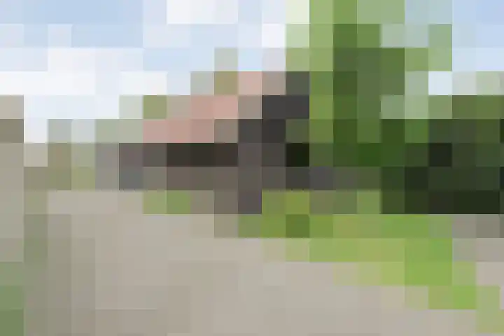Drogteropslagen 56 Drogteropslagen thumbnail 64