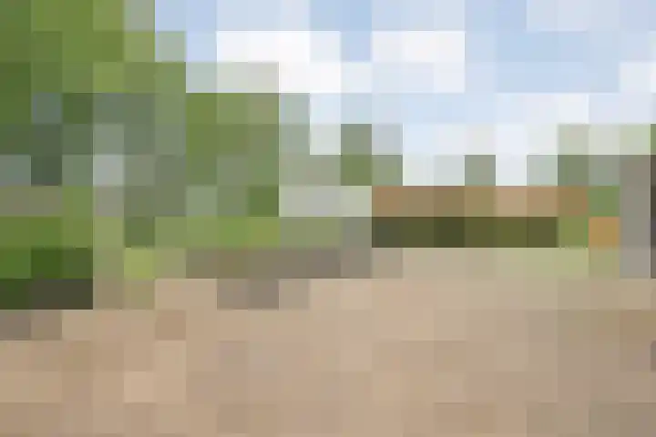Drogteropslagen 56 Drogteropslagen thumbnail 65