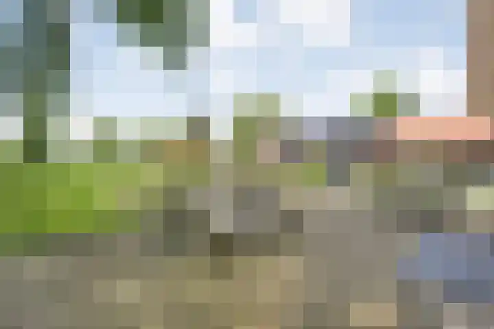 Drogteropslagen 56 Drogteropslagen thumbnail 66