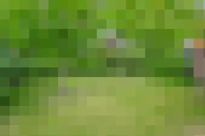 Drogteropslagen 56 Drogteropslagen thumbnail 68
