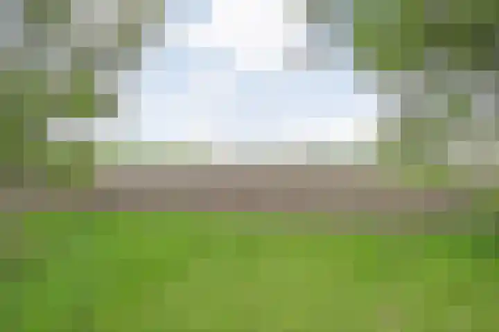 Drogteropslagen 56 Drogteropslagen thumbnail 69