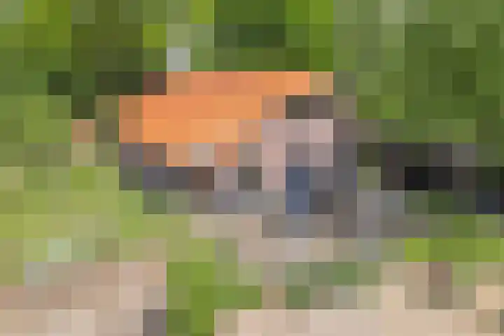 Drogteropslagen 56 Drogteropslagen thumbnail 7