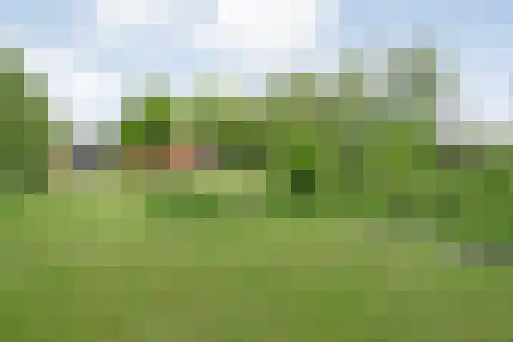 Drogteropslagen 56 Drogteropslagen thumbnail 71