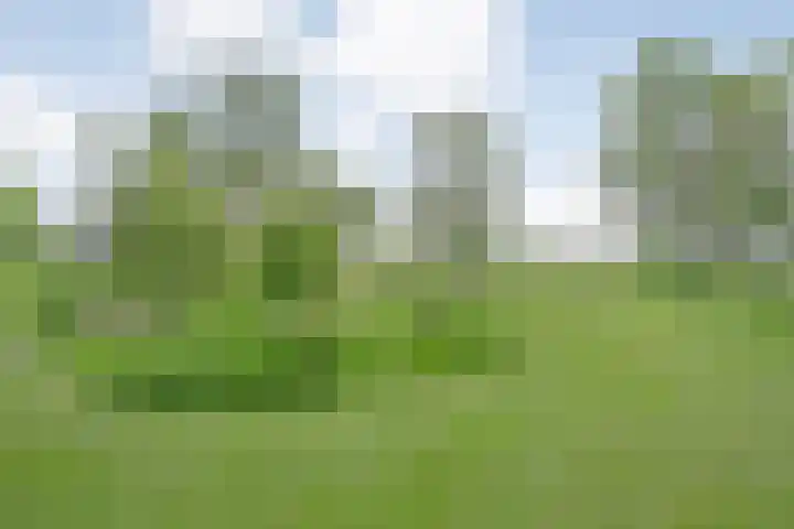 Drogteropslagen 56 Drogteropslagen thumbnail 72