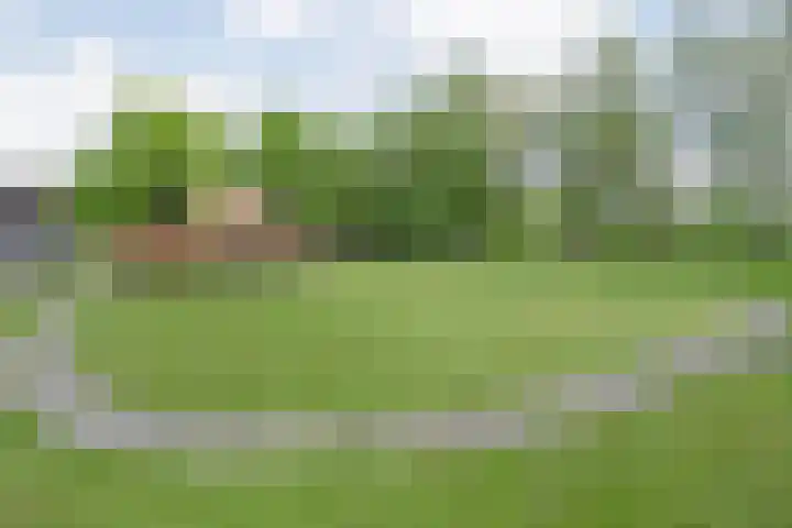 Drogteropslagen 56 Drogteropslagen thumbnail 73