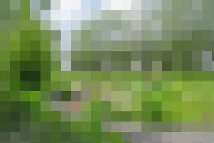 Drogteropslagen 56 Drogteropslagen thumbnail 74
