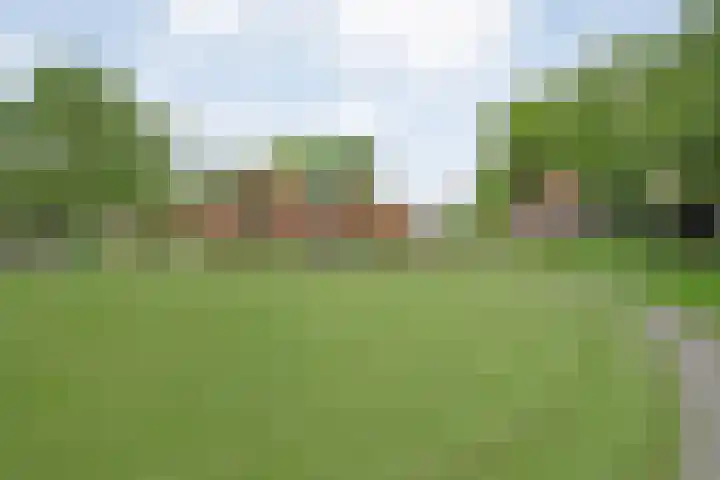 Drogteropslagen 56 Drogteropslagen thumbnail 75