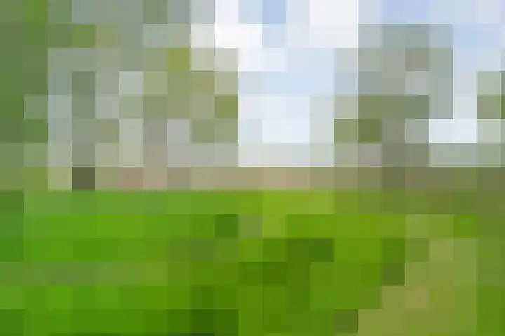 Drogteropslagen 56 Drogteropslagen thumbnail 77