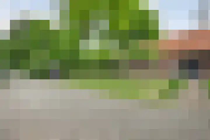 Drogteropslagen 56 Drogteropslagen thumbnail 79