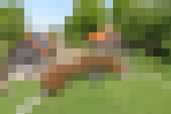 Drogteropslagen 56 Drogteropslagen thumbnail 8