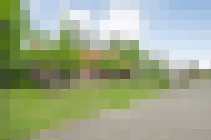 Drogteropslagen 56 Drogteropslagen thumbnail 80