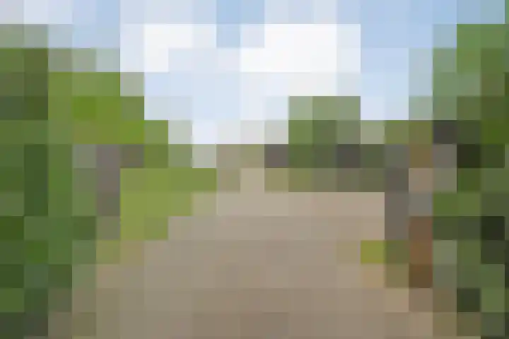 Drogteropslagen 56 Drogteropslagen thumbnail 81
