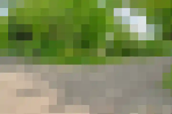 Drogteropslagen 56 Drogteropslagen thumbnail 83
