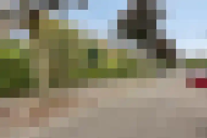 Dromedarisstraat 13 Nijmegen thumbnail 39