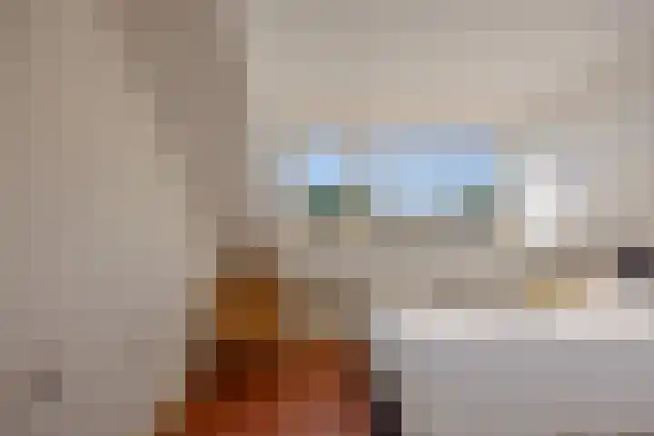 Dromedarisstraat 27 Nijmegen thumbnail 29