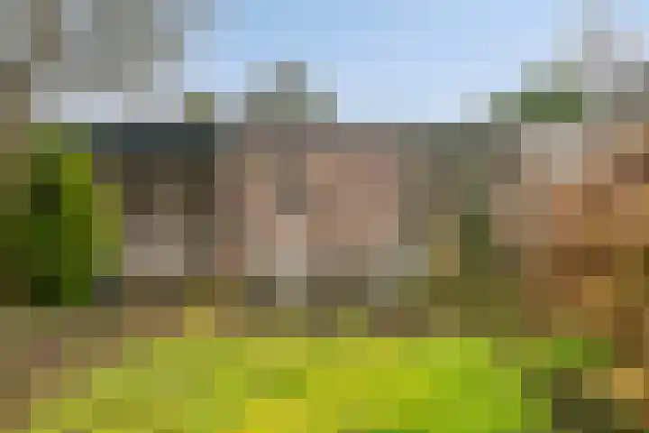 Dromerdijk 10 Arnhem thumbnail 10