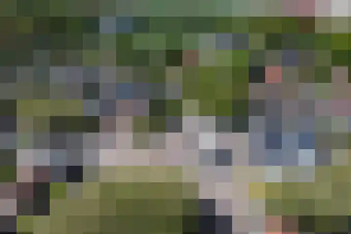 Dromerdijk 10 Arnhem thumbnail 15