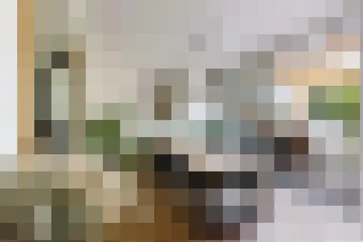 Dromerdijk 10 Arnhem thumbnail 16