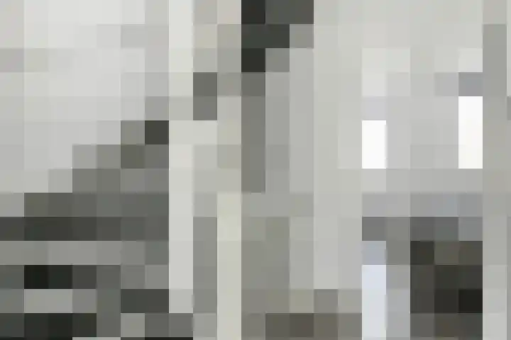 Dromerdijk 10 Arnhem thumbnail 18