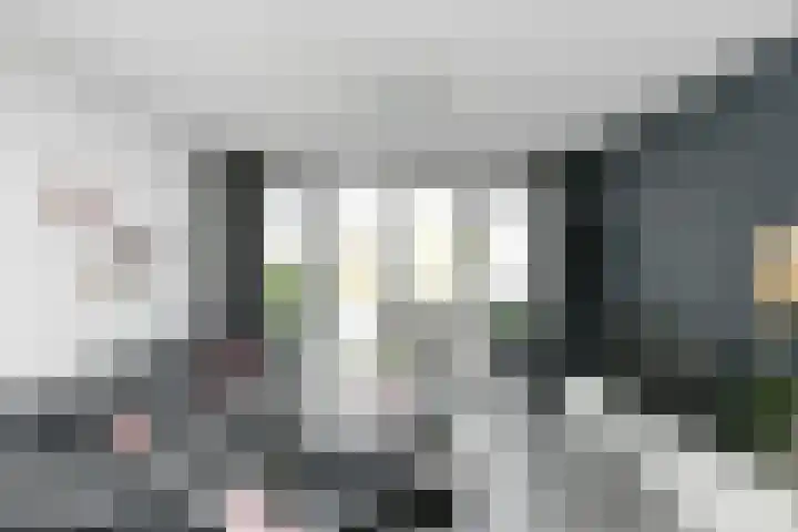 Dromerdijk 10 Arnhem foto 2