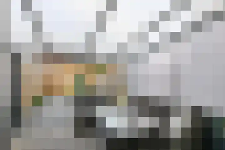 Dromerdijk 10 Arnhem thumbnail 22