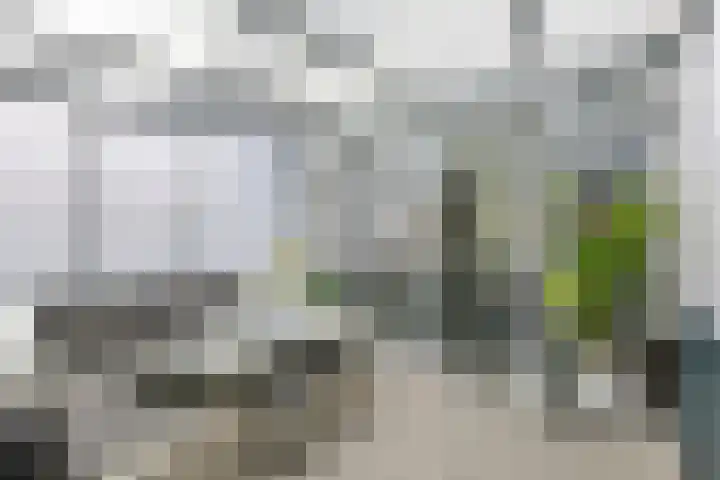 Dromerdijk 10 Arnhem thumbnail 23