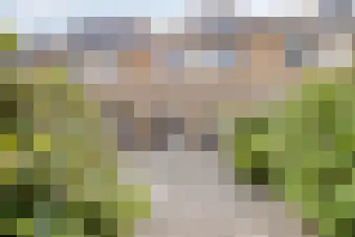 Dromerdijk 10 Arnhem thumbnail 24