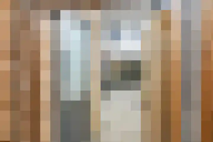 Dromerdijk 10 Arnhem thumbnail 27