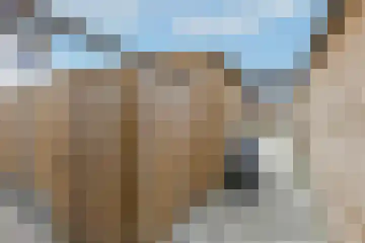 Dromerdijk 10 Arnhem thumbnail 28