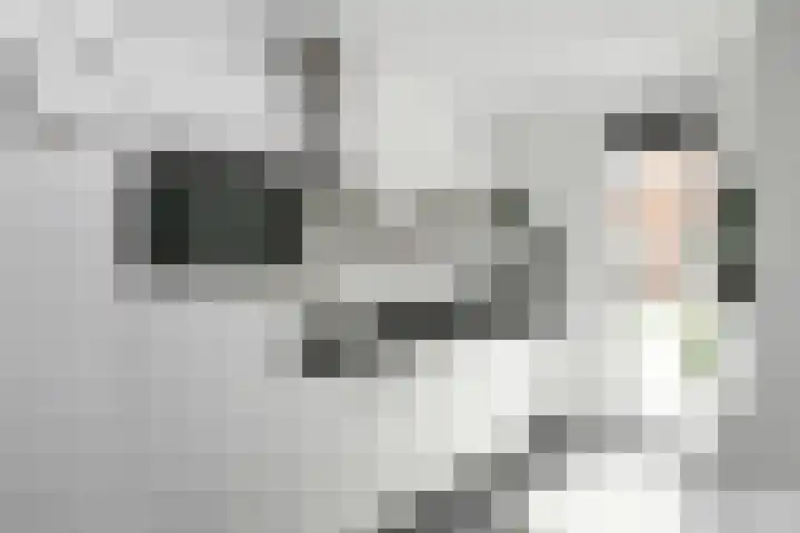 Dromerdijk 10 Arnhem foto 3