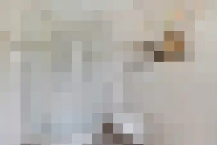 Dromerdijk 10 Arnhem thumbnail 32