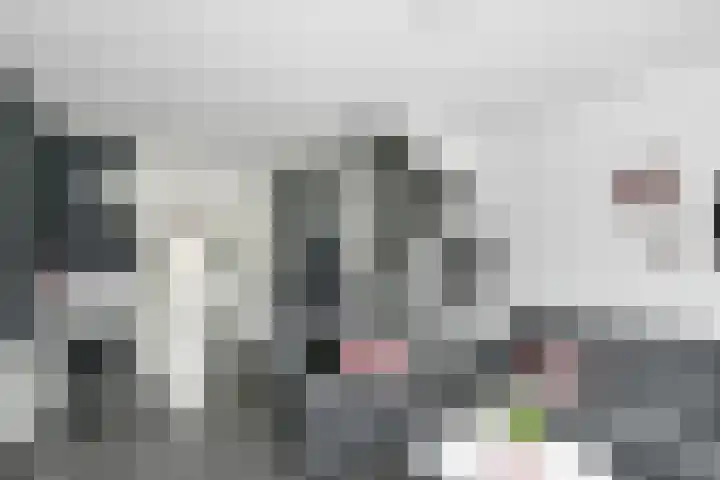 Dromerdijk 10 Arnhem thumbnail 8